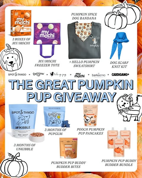 A seasonal, multi-brand giveaway creative showcasing an assortment of dog treats, toys, and apparel against a pumpkin-themed backdrop.