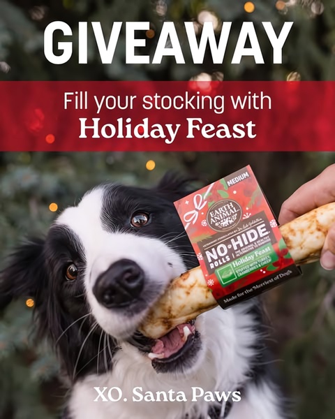 This ad features a dog enthusiastically holding a holiday-themed dog treat, leveraging a seasonal giveaway angle to capture attention.