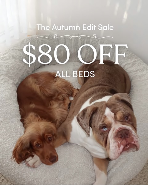 A 4:5 vertical ad featuring two dogs resting in a cozy, neutral-toned dog bed with a clear, bold offer overlaying the image.
