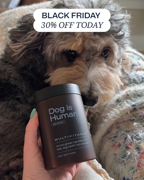 A close-up, first-person perspective image showing a hand holding a jar of dog multivitamins near a dog, overlaid with a clear Black Friday discount offer.