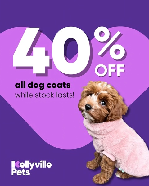 dog coat, pet jacket, dog sweater, pet clothing, dog apparel, winter coat, pet outerwear, sale promotion, limited time deal, modern typography, playful, energetic, purple, pink