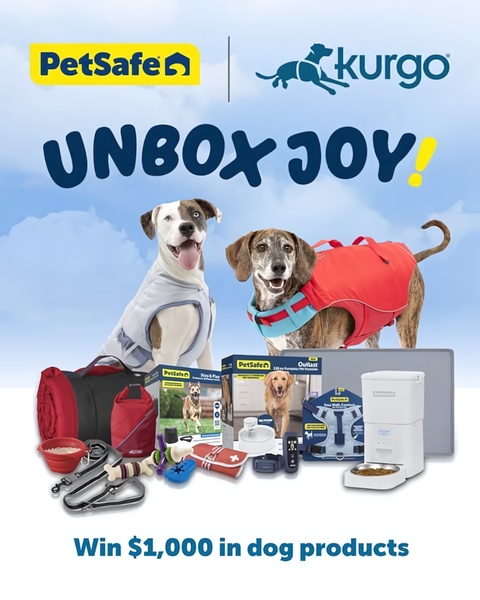 A 4:5 vertical ad creative featuring a curated collection of dog products alongside happy dogs to promote a $1,000 giveaway.