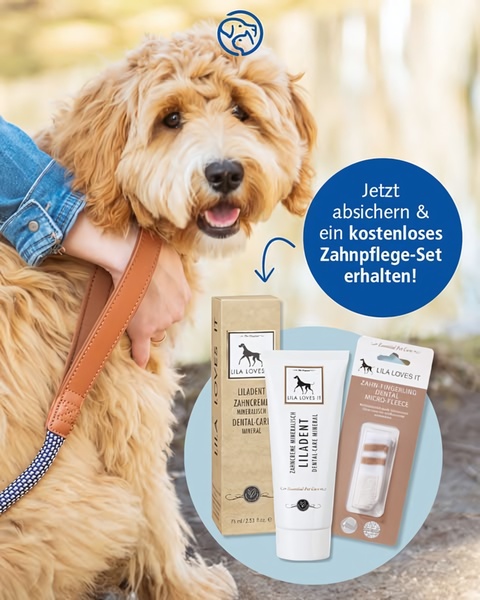 A 4:5 social ad showcasing a Pet Dental Care kit paired with an incentive for a free gift.