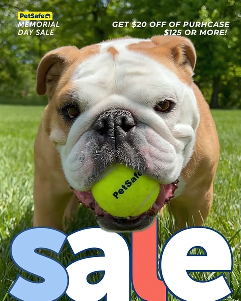 A close-up shot of an English Bulldog holding a branded yellow tennis ball in its mouth, set against an outdoor green background with promotional text.