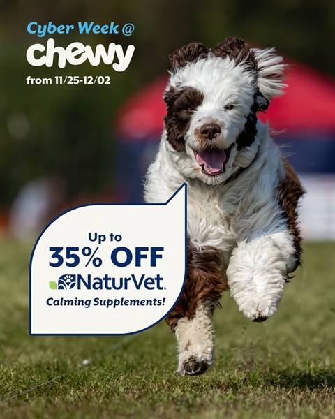 A 4:5 vertical ad creative featuring a joyful, running dog and a clear, high-contrast offer bubble promoting a holiday discount.