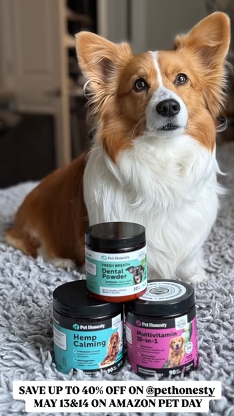 A high-performing 9:16 vertical ad featuring a Corgi next to three Pet Honesty supplement jars, signaling a major discount event.