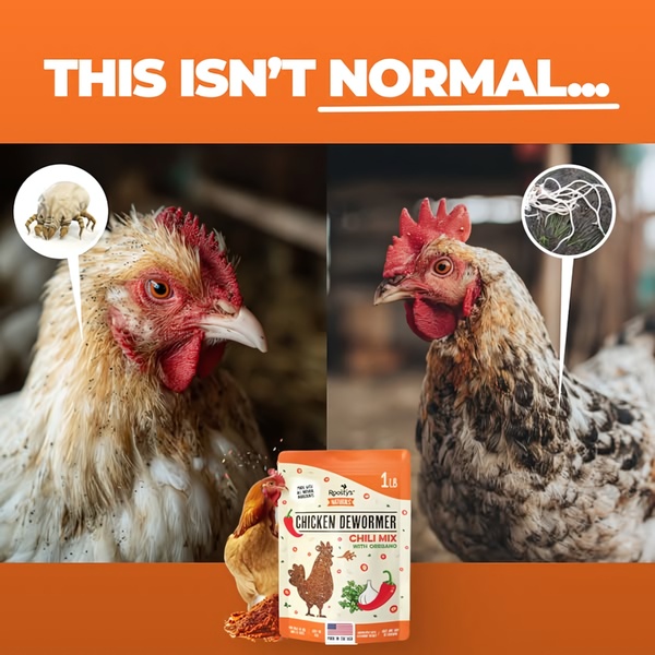 This ad creative utilizes a stark visual contrast, showing a parasite-infested chicken against a clear, healthy one, anchored by the product as the solution.