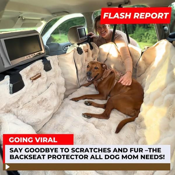 A split-screen style ad for a backseat protector showing a dog comfortable in a car, paired with a flash report overlay to emphasize the product's protective benefits.