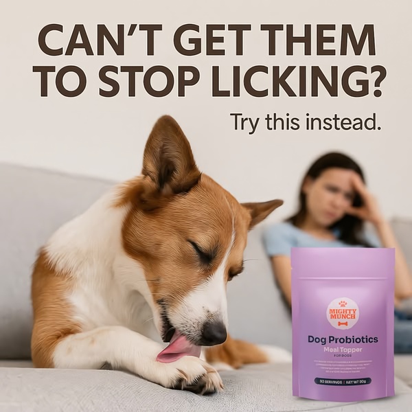 A square-format static ad showing a stressed owner and a dog with a persistent licking habit, positioning a meal topper as the corrective solution.