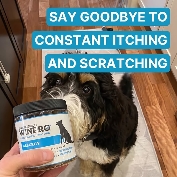 A high-performing 1:1 square ad for a dog allergy supplement, featuring a close-up product shot alongside an engaging pet visual.