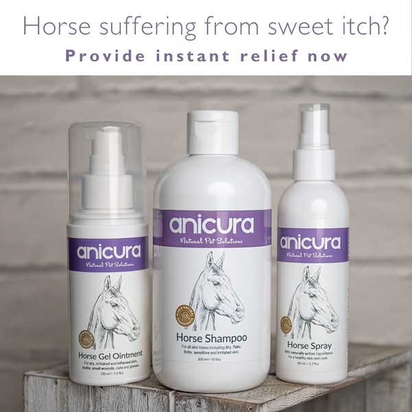 This static image features three Anicura horse care products arranged on a wooden platform, utilizing a clear problem-solution headline format.