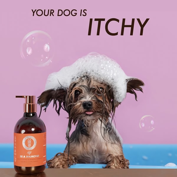 A high-contrast visual showing a wet, sudsy dog in a bathtub next to a bottle of dog shampoo, directly addressing the pain point of pet itchiness.