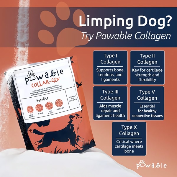 A square-format educational ad featuring a pet collagen supplement. The creative uses a clear problem-solution hook followed by a breakdown of collagen types and benefits.