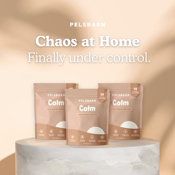 Chaos at Home Finally Under Control