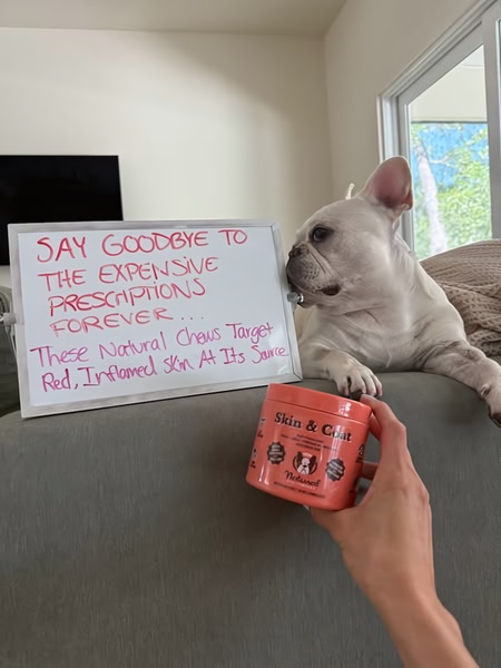 A raw, handheld photo featuring a French Bulldog next to a whiteboard sign and a bottle of skin supplements, emphasizing a direct-to-consumer health benefit.