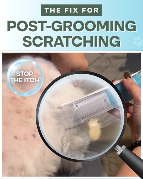 A close-up demonstration using a magnifying glass effect to highlight the solution for pet discomfort during grooming.