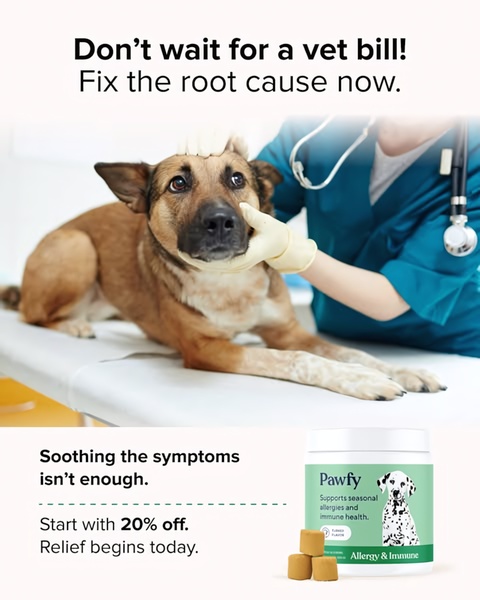 This static 4:5 ad features a veterinarian examining a dog, contrasting the high cost of vet bills with the convenience of a daily supplement to solve the root cause.