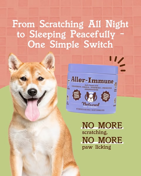 A 4:5 static ad creative that highlights the transition from a suffering pet to a peaceful one using an Aller-Immune supplement.