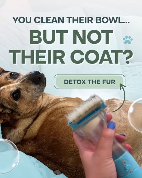 This ad creative uses a comparative question to highlight the importance of grooming a pet's coat, positioning the product as a necessary health tool.