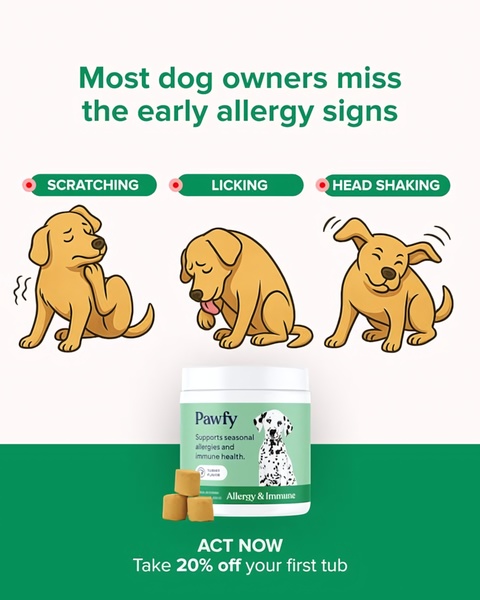An educational ad creative highlighting common dog allergy symptoms paired with a supplement solution and a direct discount offer.