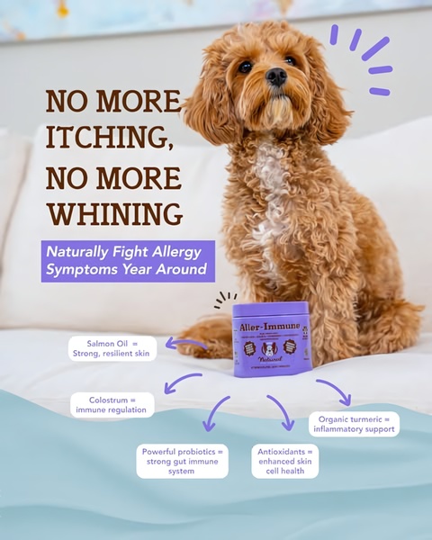A 4:5 ratio ad for a dog supplement that clearly lists five key ingredients and their specific benefits to justify the product value.