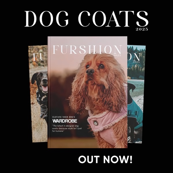dog coat, dog jacket, dog vest, pet apparel, dog clothing, new arrival, brand awareness, lifestyle, editorial, luxurious, calm, neutral, brown