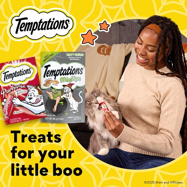 A lifestyle-focused ad showing a pet owner feeding their cat with themed seasonal branding to drive product awareness.
