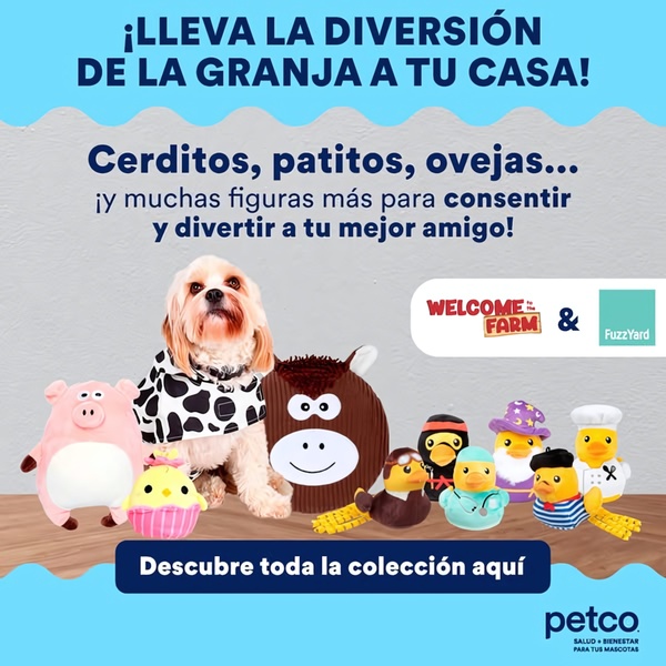 A high-conversion creative showcasing a dog surrounded by themed plush toys, emphasizing playfulness and the variety of the collection.