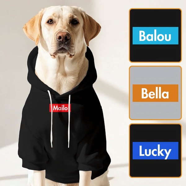 dog hoodie, dog sweatshirt, pet clothing, personalized dog clothes, custom dog hoodie, new arrival, lifestyle, minimalist, trustworthy, neutral, black