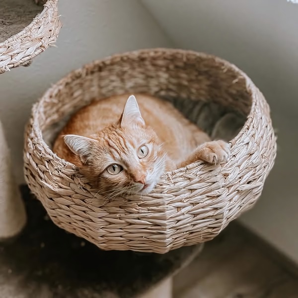 A high-quality lifestyle shot featuring an orange cat resting comfortably in a round wicker bed, highlighting the product's natural appeal.