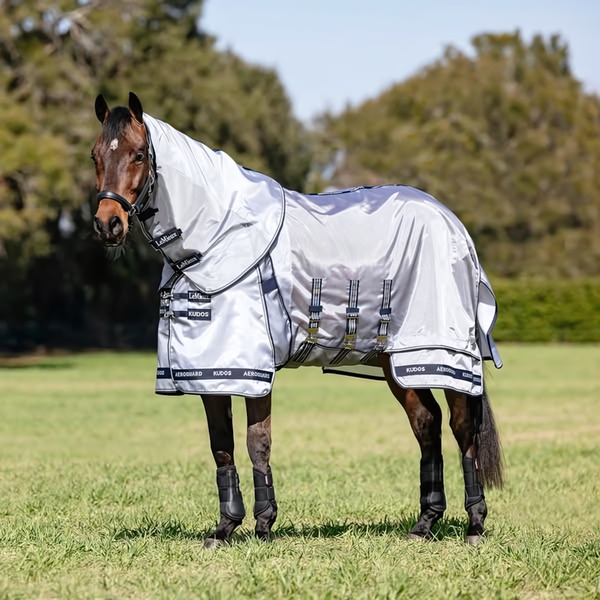 A high-quality, 1:1 ratio image showcasing a horse wearing a protective rug in a bright, outdoor paddock environment.