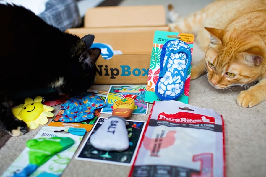 A high-angle flat lay photograph of a cat subscription box, featuring multiple toys and treats surrounded by two curious pet cats.