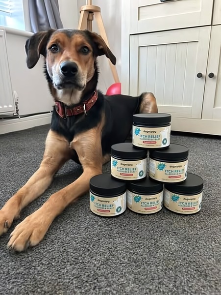 A high-quality 3:4 portrait shot featuring a dog sitting next to a stacked pyramid of itch relief jars.
