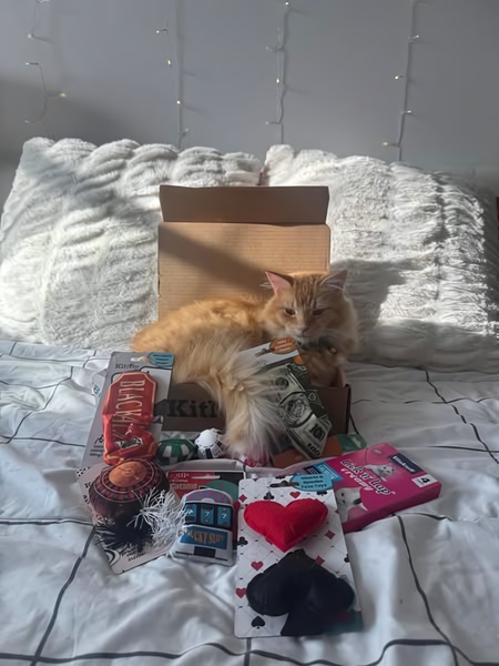 A high-performing product hero image featuring a cat sitting inside its subscription box, surrounded by curated toys and treats.