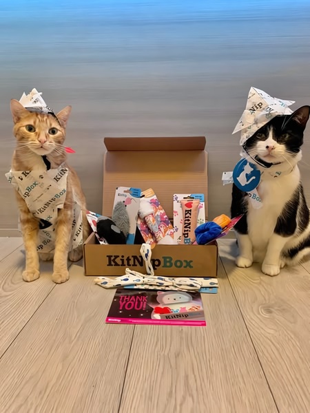 Two cats wearing handmade paper hats sit beside an open subscription box full of various toys and treats, creating a charming and relatable brand image.