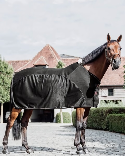 A high-quality, side-profile studio-lit image of a horse wearing a premium black fly sheet, shot against a clean outdoor barn background.
