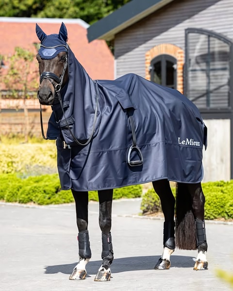 A high-quality, professional studio-style image of a horse wearing a branded rug and ear bonnet in a clean outdoor environment.