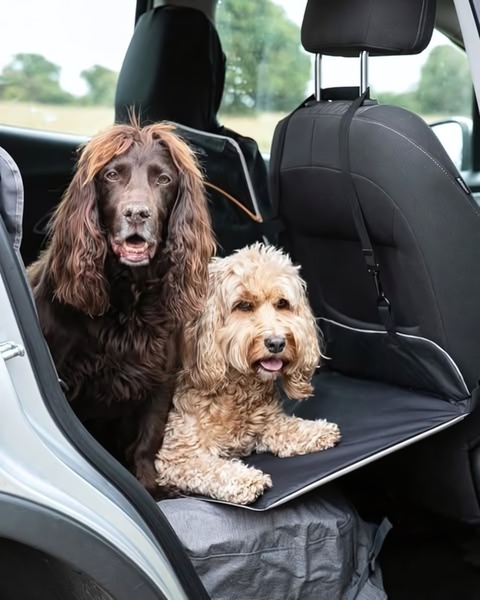 A high-quality 4:5 lifestyle image featuring two dogs comfortably resting on a durable car seat cover, emphasizing ease of use and pet comfort.
