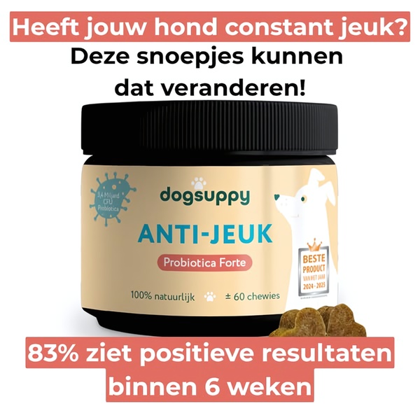 A square ad creative featuring a container of dog probiotic chews with a clear pain-point question headline and a statistics-based trust signal.