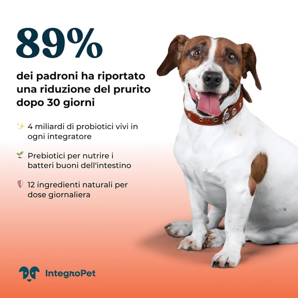 A clean, text-heavy statistical ad for dog probiotic supplements, utilizing a clear value proposition and a friendly pet image to build trust.