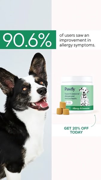 This creative utilizes a bold 90.6% statistic paired with a clear product shot to build instant trust and desire for pet allergy relief.