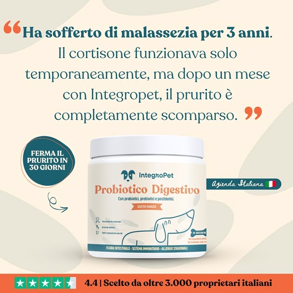 A 1:1 ratio ad creative for a pet digestive probiotic featuring a customer testimonial and product benefits callouts.