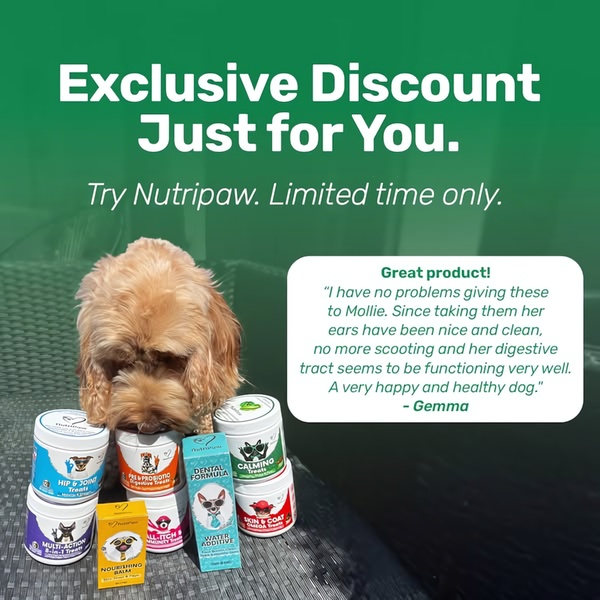 This 1:1 square ad for pet health supplements uses a customer testimonial alongside a high-quality product flat-lay featuring a dog.