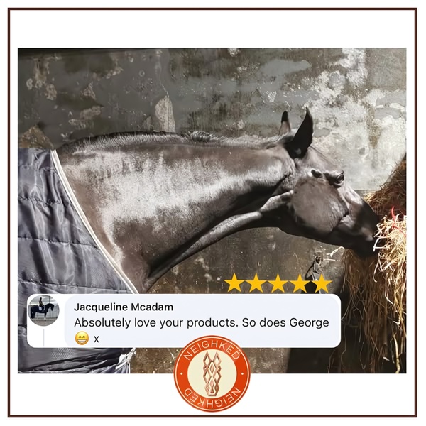 A square-format ad showcasing a horse wearing a blanket alongside a five-star customer review.