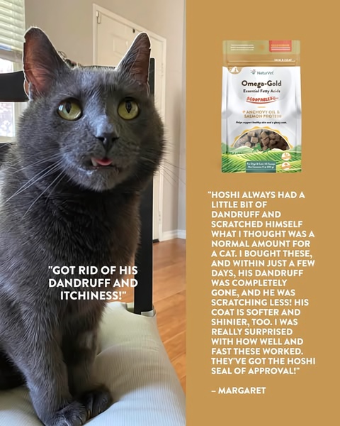 A split-screen ad creative displaying a cat on the left and a pet supplement package with a customer review on the right.