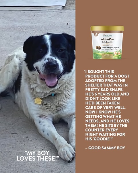 Dog Supplement Customer Testimonial