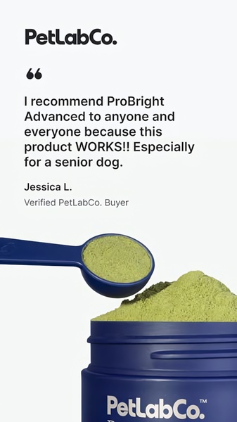 A clean, minimalist 9:16 vertical ad featuring a customer review for a pet supplement product placed next to the supplement scoop and container.