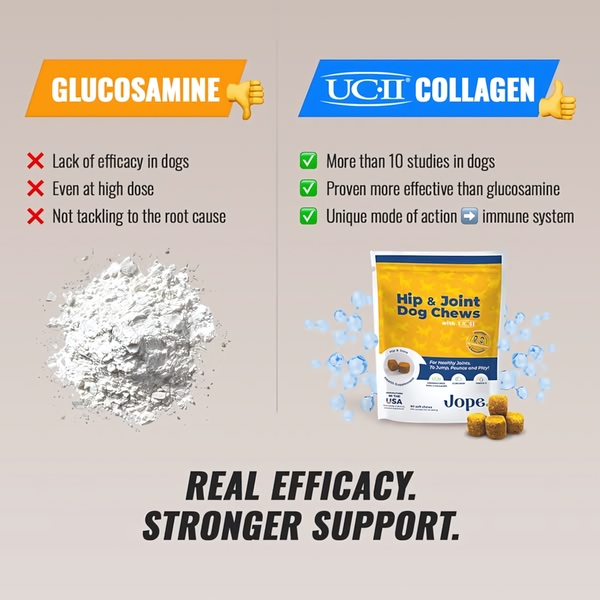 A side-by-side comparison graphic contrasting the efficacy of standard Glucosamine against the brand's UC-II Collagen dog chews.