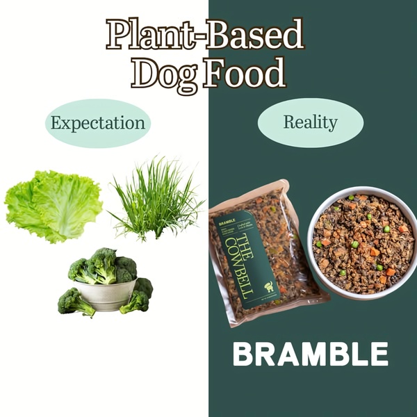 A split-screen comparison showing raw ingredients on one side and the finished, appealing dog food bowl on the other.