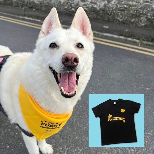 graphic t-shirt, cotton t-shirt, crew neck shirt, branded t-shirt, short sleeve shirt, brand awareness, lifestyle, playful, energetic, black, yellow